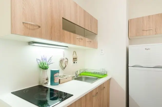 Premium Apart Daire, 1 Büyük (Queen) Boy Yatak ve Çekyat