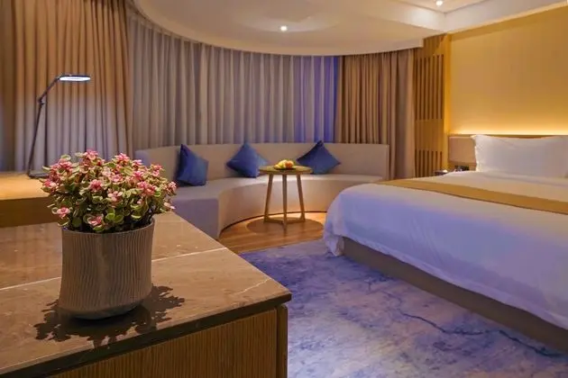 Superior Tek Büyük Yataklı Oda