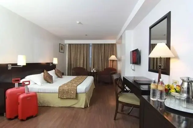 Deluxe Tek Büyük Yataklı Oda