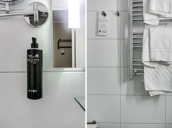 Standard Oda, 1 En Büyük (King) Boy Yatak, Sigara İçilmez (Shower Only)