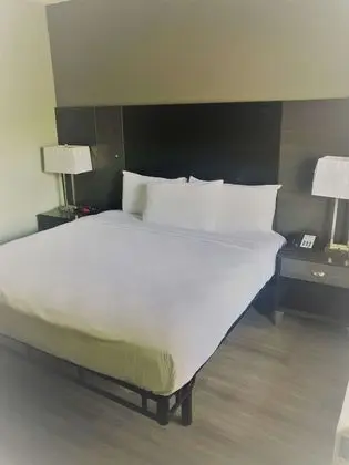 Standard Oda, 1 En Büyük (King) Boy Yatak ve Çekyat, Sigara İçilebilir (with Sofabed)