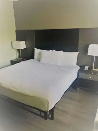 Standard Oda, 1 En Büyük (King) Boy Yatak ve Çekyat, Sigara İçilebilir (with Sofabed)
