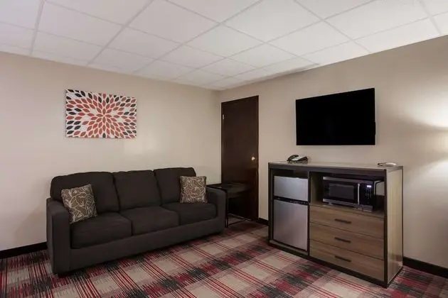 Standard Oda, Birden Çok Yatak, Sigara İçilmez, Buzdolabı ve Mikrodalga (with Sofabed)