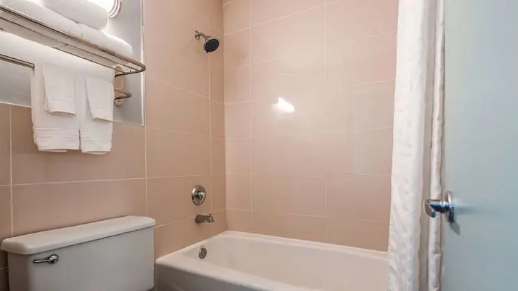 Standard Oda, 1 En Büyük (King) Boy Yatak, Sigara İçilmez, Buzdolabı ve Mikrodalga