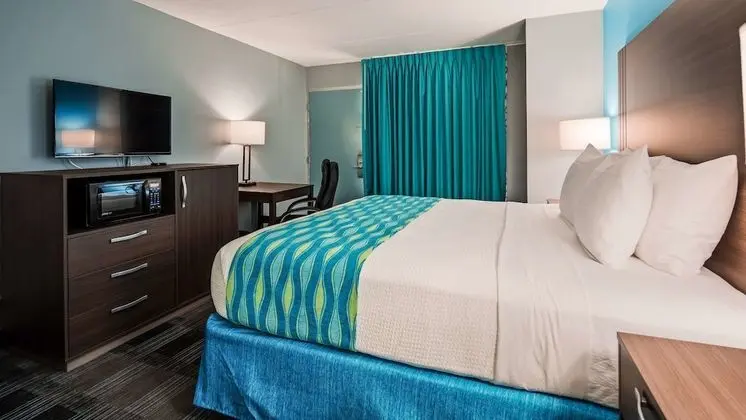 Standard Oda, 1 En Büyük (King) Boy Yatak, Sigara İçilmez, Buzdolabı ve Mikrodalga (Pet Friendly)