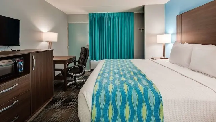 Standard Oda, 1 En Büyük (King) Boy Yatak, Sigara İçilmez, Buzdolabı ve Mikrodalga (Pet Friendly)