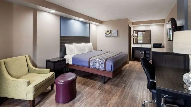 Standard Oda, 1 En Büyük (King) Boy Yatak, Sigara İçilmez (Pet Friendly)