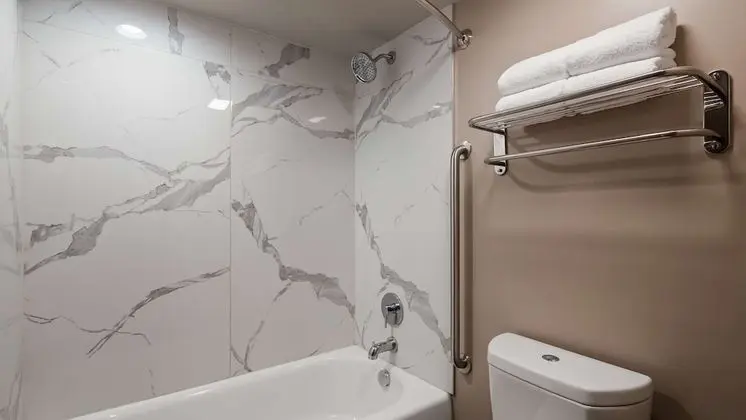 Standard Oda, 1 En Büyük (King) Boy Yatak, Sigara İçilmez (Pet Friendly)