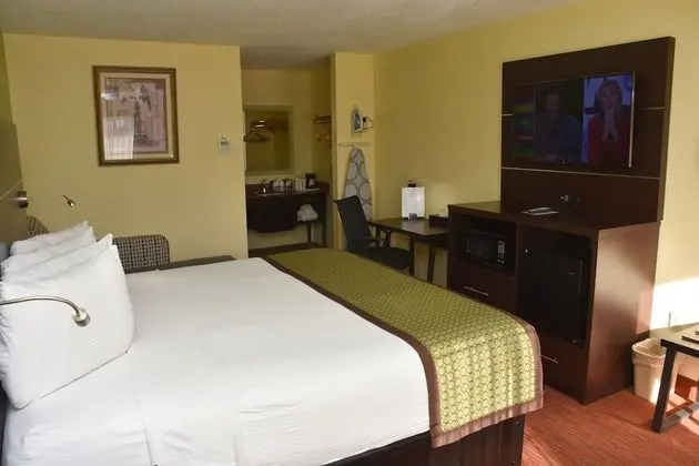 Standard Oda, 1 En Büyük (King) Boy Yatak, Sigara İçilmez, Buzdolabı ve Mikrodalga