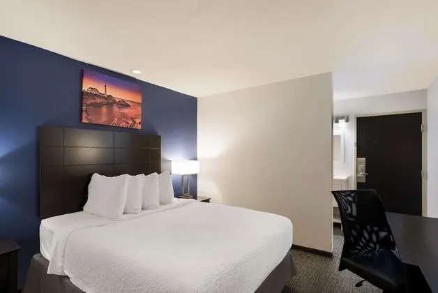 Standard Oda, 1 Büyük (Queen) Boy Yatak, Sigara İçilmez, Buzdolabı ve Mikrodalga (Pet Friendly)