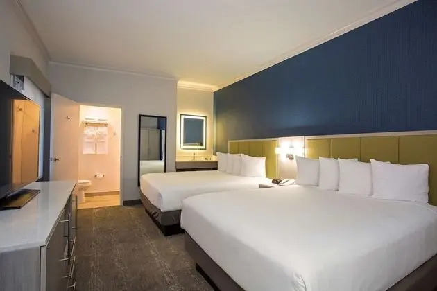 Standard Oda, 2 Büyük (Queen) Boy Yatak, Sigara İçilmez, Buzdolabı ve Mikrodalga (Pet Friendly)