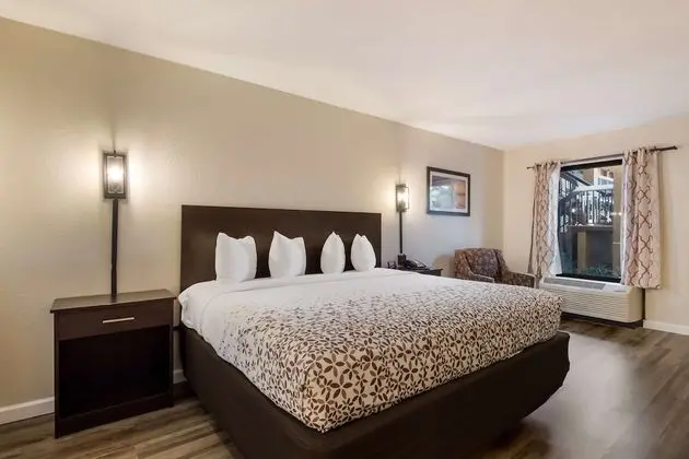 Standard Oda, 1 En Büyük (King) Boy Yatak, Sigara İçilmez, Buzdolabı ve Mikrodalga
