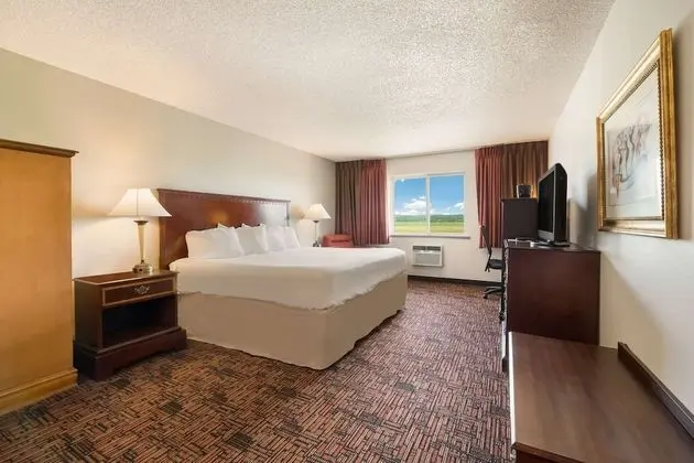 Standard Oda, 1 En Büyük (King) Boy Yatak, Sigara İçilmez (Refrigerator & Microwave)