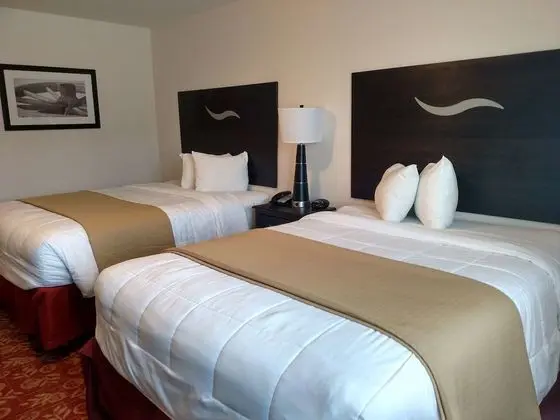 Standard Oda, 2 Büyük (Queen) Boy Yatak, Sigara İçilmez, Buzdolabı ve Mikrodalga (Pet Friendly)