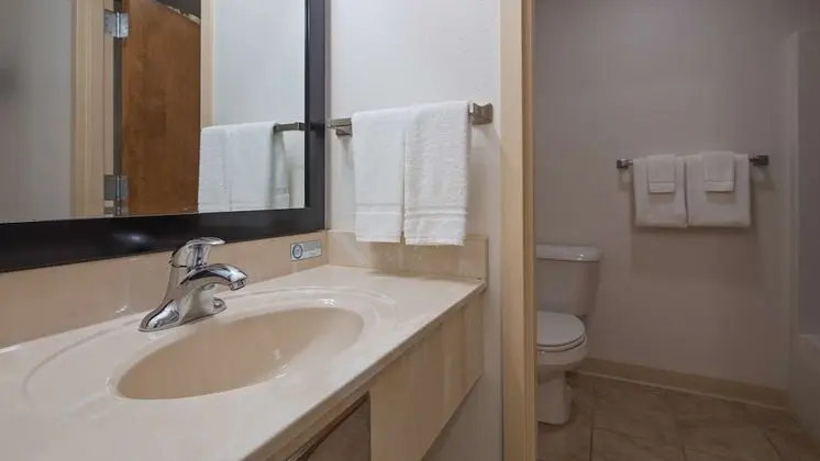 Standard Oda, 2 Büyük (Queen) Boy Yatak, Sigara İçilmez, Buzdolabı ve Mikrodalga (Pet Friendly)