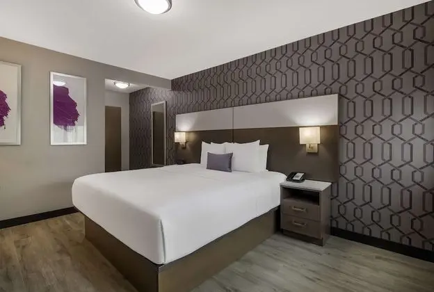 Standard Oda, 1 En Büyük (King) Boy Yatak, Engellilere Uygun, Sigara İçilmez (Walk-in Shower)