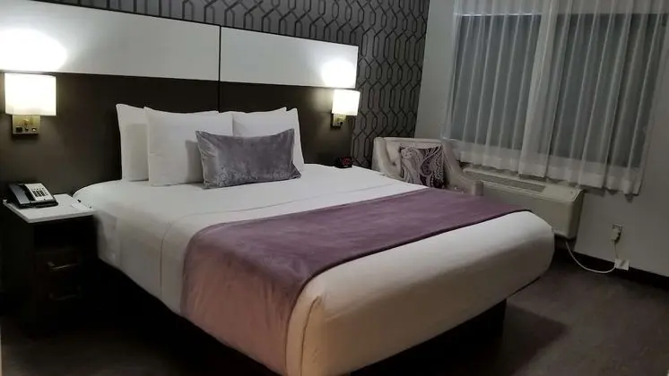 Standard Oda, 1 En Büyük (King) Boy Yatak, Engellilere Uygun, Sigara İçilmez (Walk-in Shower)