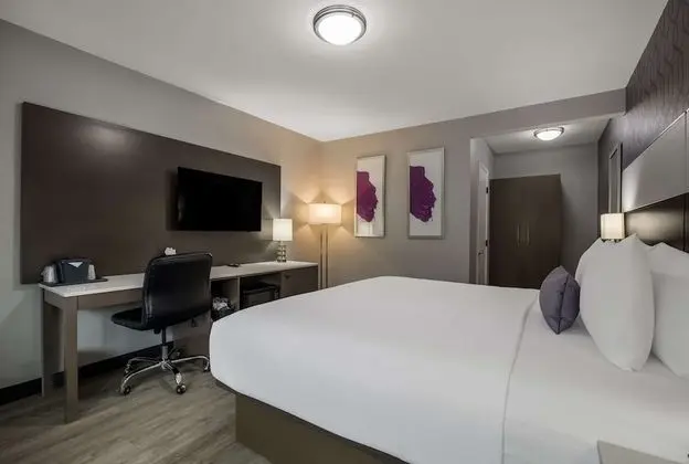 Standard Oda, 1 En Büyük (King) Boy Yatak, Engellilere Uygun, Sigara İçilmez (Walk-in Shower)