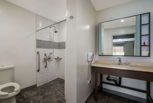 Standard Oda, 1 En Büyük (King) Boy Yatak, Engellilere Uygun, Sigara İçilmez (Walk-in Shower)