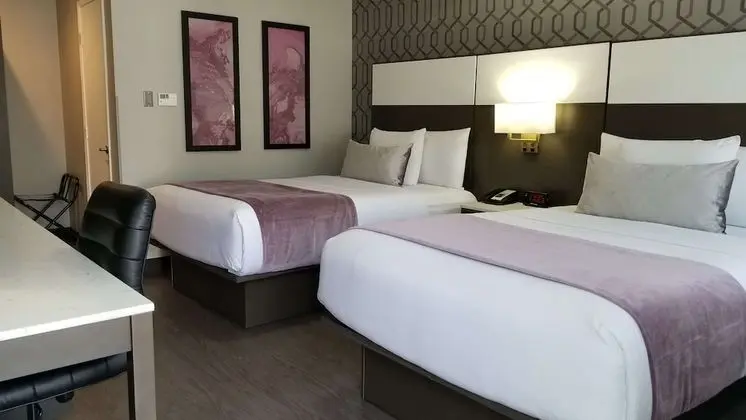 Standard Oda, 2 Çift Kişilik Yatak, Engellilere Uygun, Sigara İçilmez (Walk-in Shower)