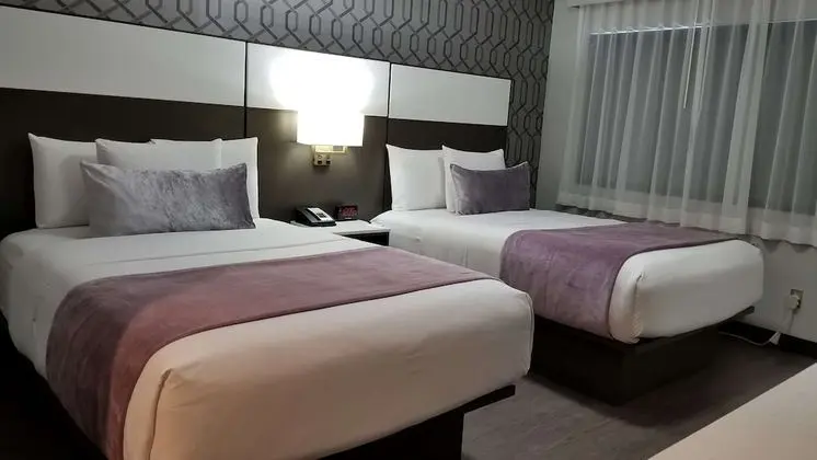 Standard Oda, 2 Çift Kişilik Yatak, Engellilere Uygun, Sigara İçilmez (Walk-in Shower)