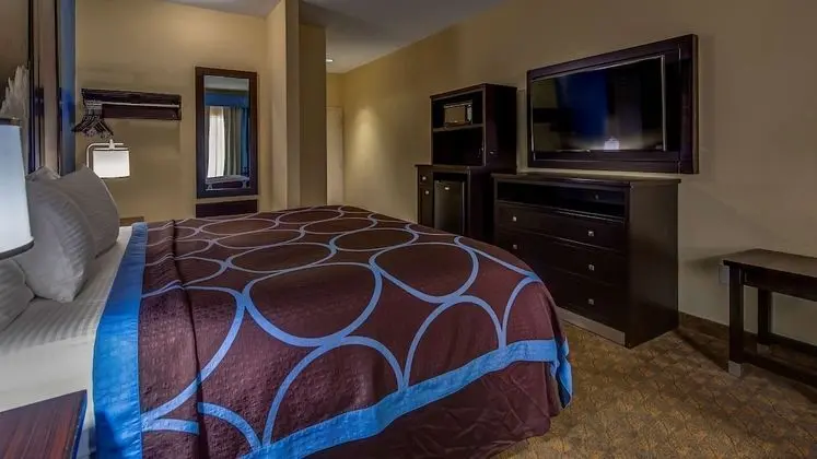 Standard Oda, 1 En Büyük (King) Boy Yatak, Engellilere Uygun, Buzdolabı ve Mikrodalga