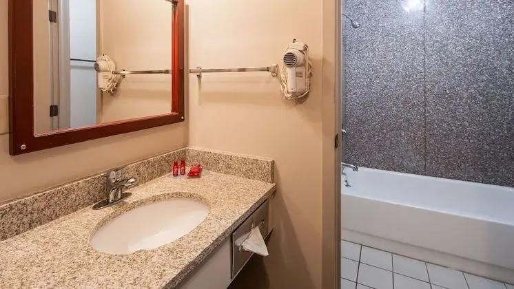 Standard Oda, 1 En Büyük (King) Boy Yatak, Sigara İçilmez, Buzdolabı ve Mikrodalga