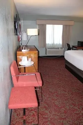 Standard Tek Kişilik Oda, 1 En Büyük (King) Boy Yatak