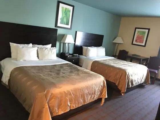 Standard Oda, 2 Büyük (Queen) Boy Yatak, Sigara İçilmez, Buzdolabı ve Mikrodalga (Pet Friendly)