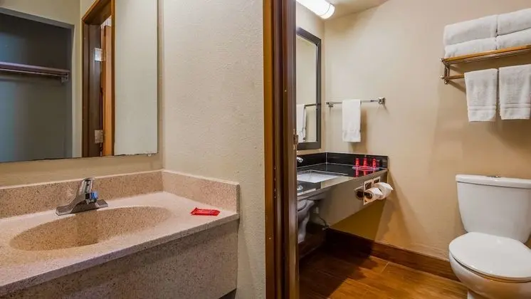 Standard Oda, 2 Büyük (Queen) Boy Yatak, Sigara İçilmez, Buzdolabı ve Mikrodalga (Pet Friendly)