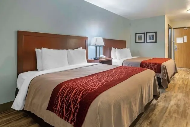 Standard Oda, 2 Büyük (Queen) Boy Yatak, Sigara İçilmez, Buzdolabı ve Mikrodalga (Pet Friendly)