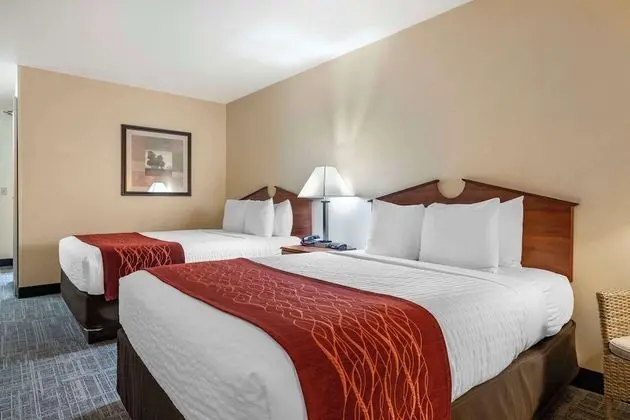 Standard Oda, 2 Büyük (Queen) Boy Yatak, Sigara İçilmez, Buzdolabı ve Mikrodalga (Pet Friendly)
