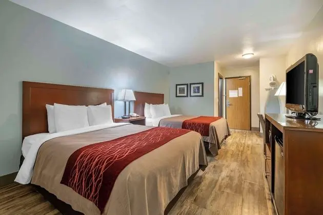 Standard Oda, 2 Büyük (Queen) Boy Yatak, Sigara İçilmez, Buzdolabı ve Mikrodalga (Pet Friendly)