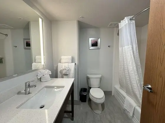 Engellilere uygun banyo