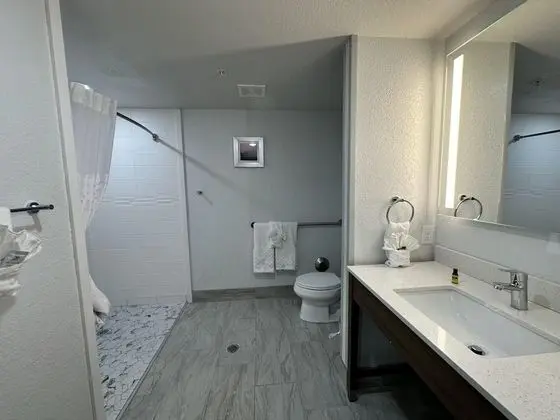 Engellilere uygun banyo