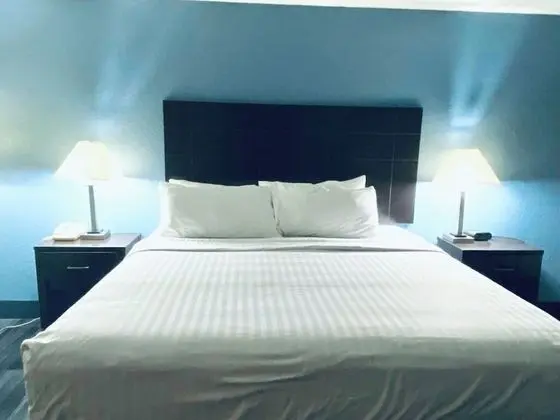 Oda, 1 En Büyük (King) Boy Yatak, Sigara İçilmez, Havuz Kenarı (Pet Friendly)