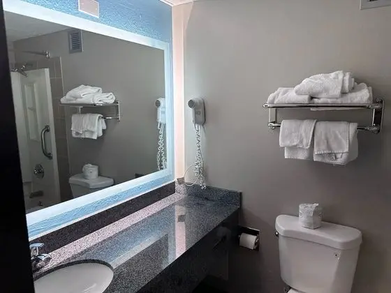 Oda, 1 En Büyük (King) Boy Yatak, Sigara İçilmez, Havuz Kenarı (Pet Friendly)