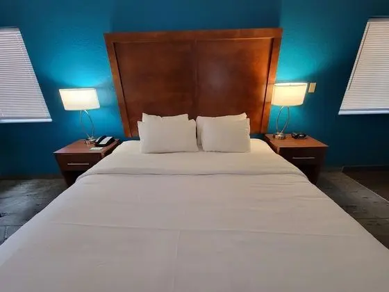 Standard Oda, 1 En Büyük (King) Boy Yatak, Sigara İçilmez, Balkon
