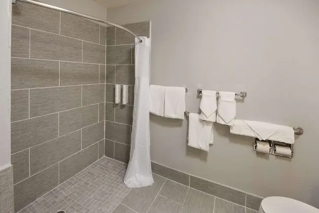 Oda, 1 En Büyük (King) Boy Yatak, Engellilere Uygun, Sigara İçilmez (Roll-in Shower)