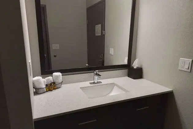 Deluxe Stüdyo Süit, 1 En Büyük (King) Boy Yatak, Sigara İçilmez