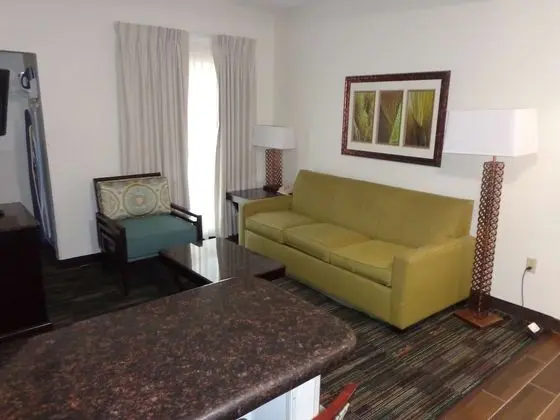 Süit, 1 En Büyük (King) Boy Yatak, Sigara İçilmez, Mutfak (Separate Living Room;with Sofabed)