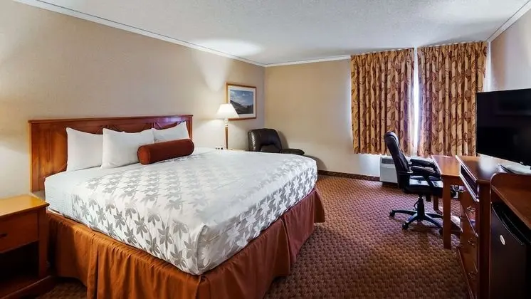 Standard Oda, 1 En Büyük (King) Boy Yatak, Sigara İçilmez, Buzdolabı ve Mikrodalga (Pet Friendly)