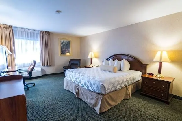 Standard Oda, 1 En Büyük (King) Boy Yatak, Sigara İçilmez, Buzdolabı ve Mikrodalga (Pet Friendly)