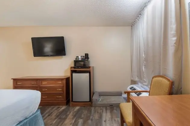Standard Oda, 1 En Büyük (King) Boy Yatak, Sigara İçilmez, Buzdolabı ve Mikrodalga (Pet Friendly)