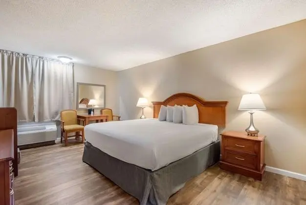 Standard Oda, 1 En Büyük (King) Boy Yatak, Sigara İçilmez, Buzdolabı ve Mikrodalga (Pet Friendly)