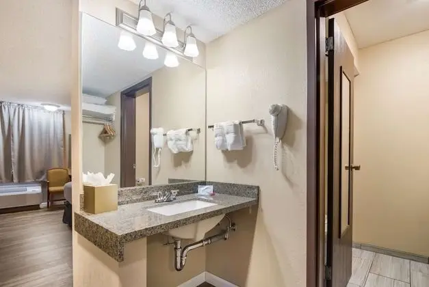 Standard Oda, 1 En Büyük (King) Boy Yatak, Sigara İçilmez, Buzdolabı ve Mikrodalga (Pet Friendly)