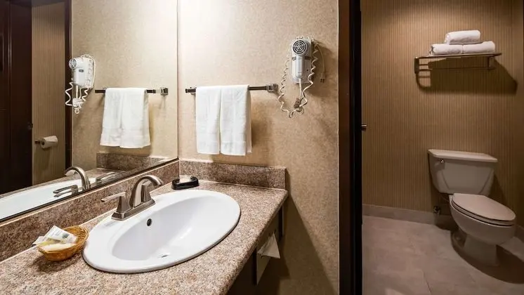 Standard Oda, 1 En Büyük (King) Boy Yatak, Sigara İçilmez, Buzdolabı ve Mikrodalga (Pet Friendly)