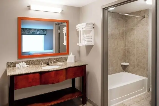 Stüdyo, 1 En Büyük (King) Boy Yatak, Buzdolabı ve Mikrodalga (Wet bar)
