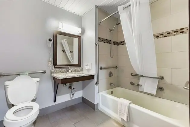 Oda, 1 Büyük (Queen) Boy Yatak, Engellilere Uygun, Sigara İçilmez (Mobility Bathtub w/Grab Bars)