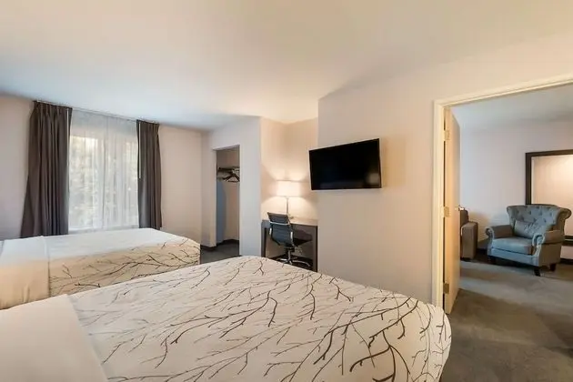 Süit, Birden Çok Yatak, Sigara İçilmez, Buzdolabı ve Mikrodalga (with Sofabed)